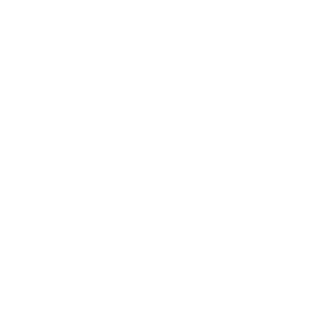 individual icons white (1)