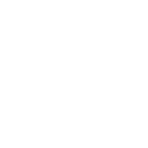 individual icons white (2)